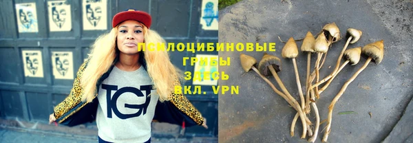 герыч Алзамай