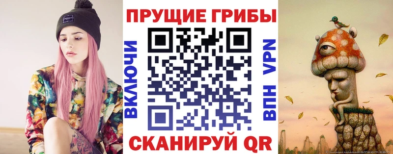 Псилоцибиновые грибы Psilocybe  Баймак 